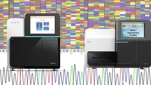 Illumina NGS MiSeq NextSeq instruments
