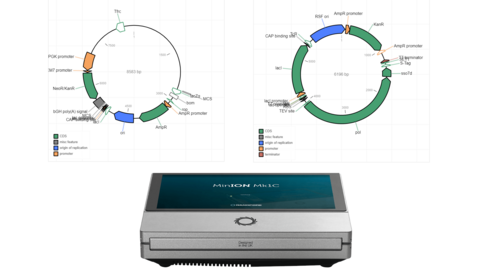 Nanopore sequencer