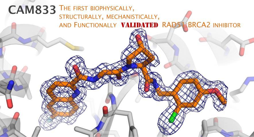 CAM833 bound to RAD51