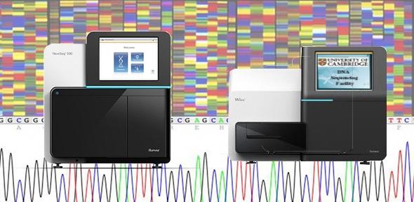 Illumina NGS MiSeq NextSeq instruments