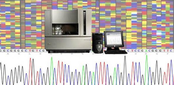 Sanger sequencing 3730XL Applied Biosystems